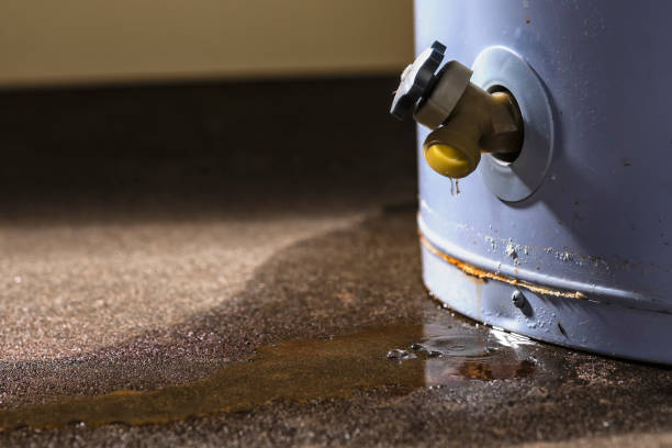 Best Water damage contractors near me  in Galliano, LA