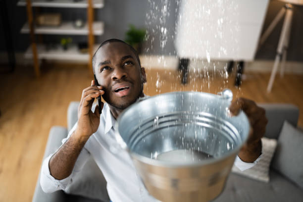 Best Ceiling water damage repair  in Galliano, LA