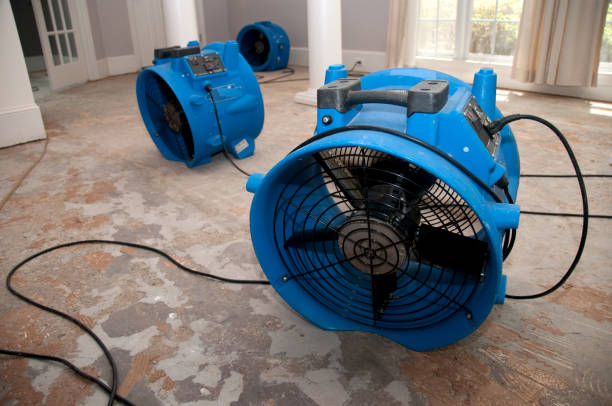 Best Water damage restoration near me  in Galliano, LA