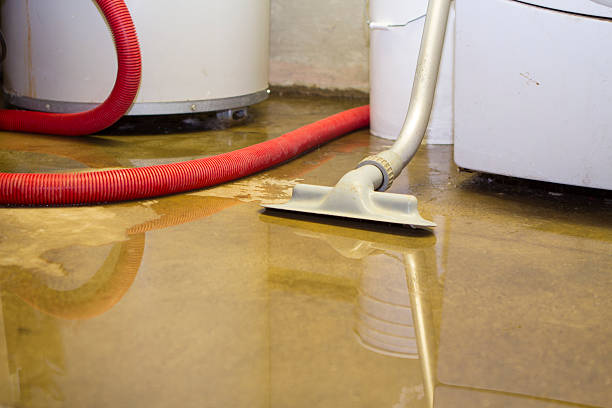Best Fire Damage Restoration  in Galliano, LA