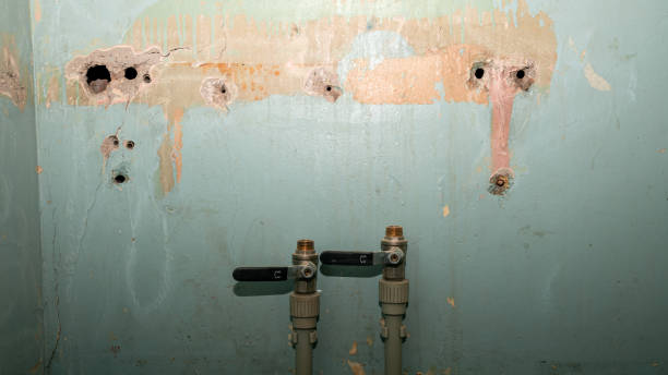 Best Water damage cleanup near me  in Galliano, LA