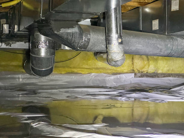 Best Water damage cleanup near me  in Galliano, LA